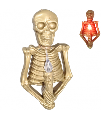 LAMPARA CALAVERA DOR/PLAT  XU X480B