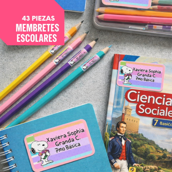 MEMBRETES ESCOLARES X 43 PIEZAS