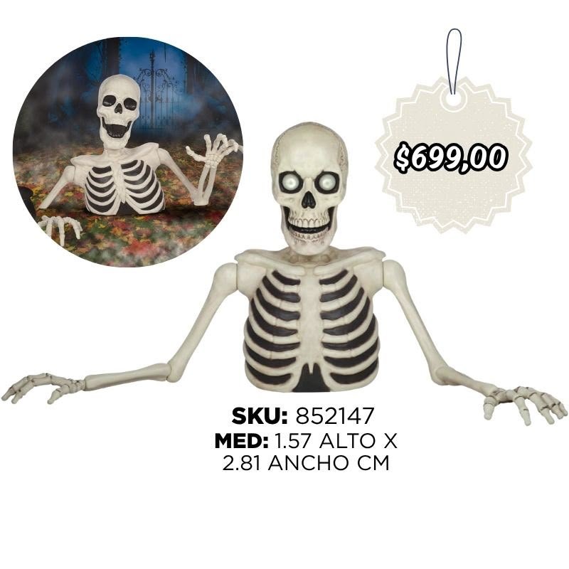 ANIMATRONIC ESQUELETO MEDIO CUERPO